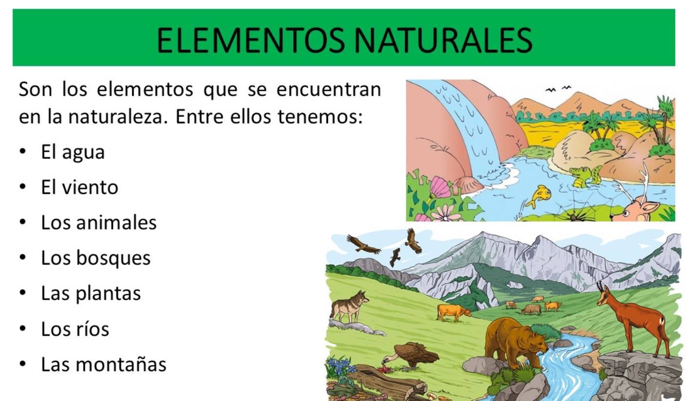 Qué es el Elemento Natural? ✓ Descubre Sus Características, Funciones y  Beneficios.