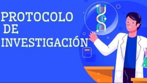 Qu Es El Protocolo De Investigaci N Descubre Sus Definici N