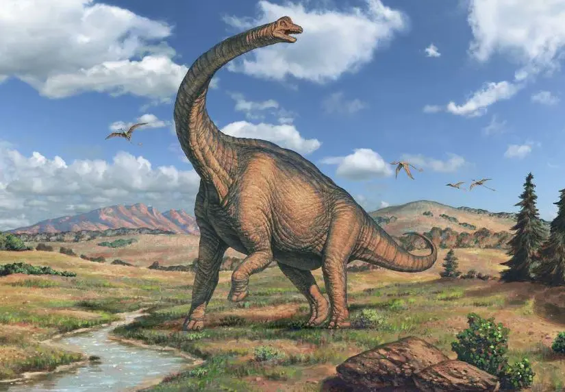 Brachiosaurus