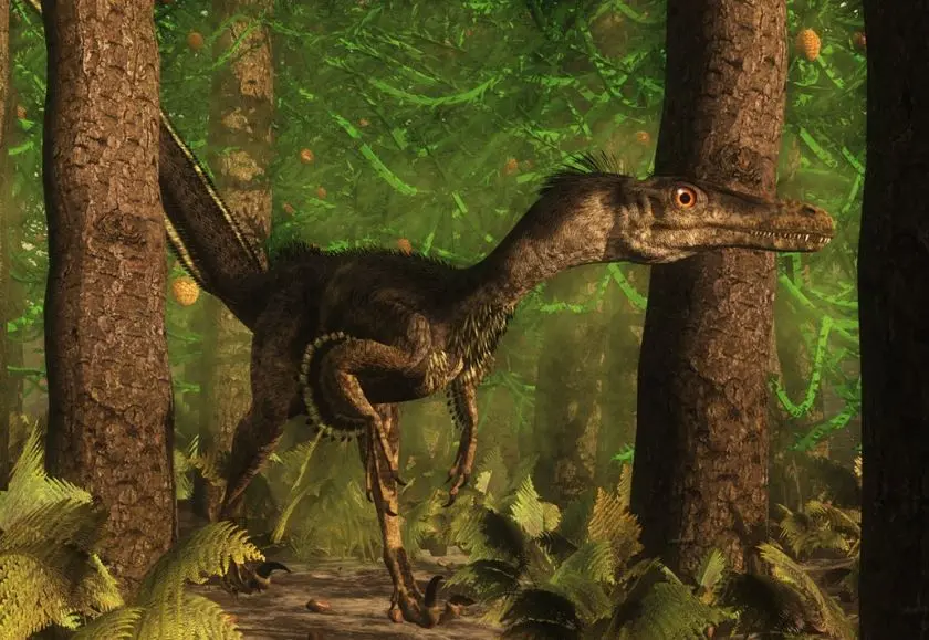 Dinosaurios nombres -Velociraptor